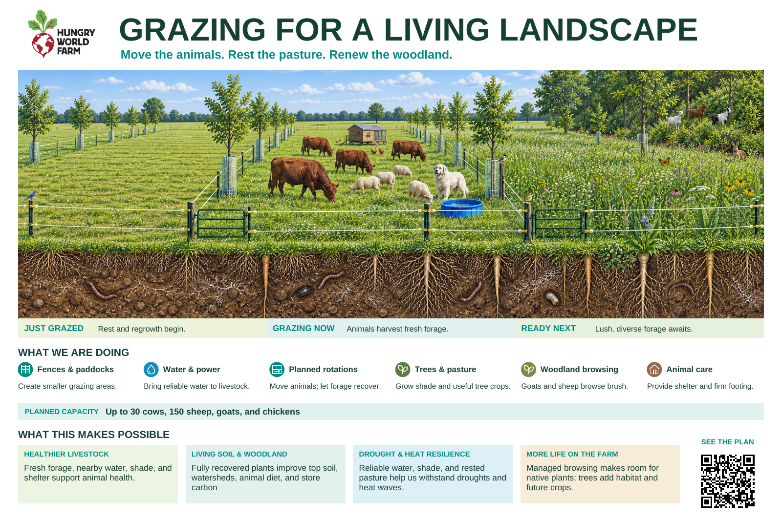 Illustrated managed grazing poster showing trees, livestock, fencing, water, and living soil.
